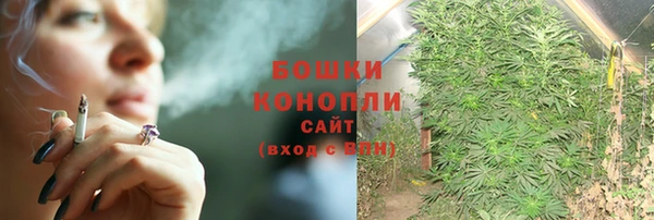 прущие крисы Беломорск