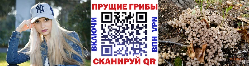 Купить Выкса Галлюциногенные грибы мицелий
